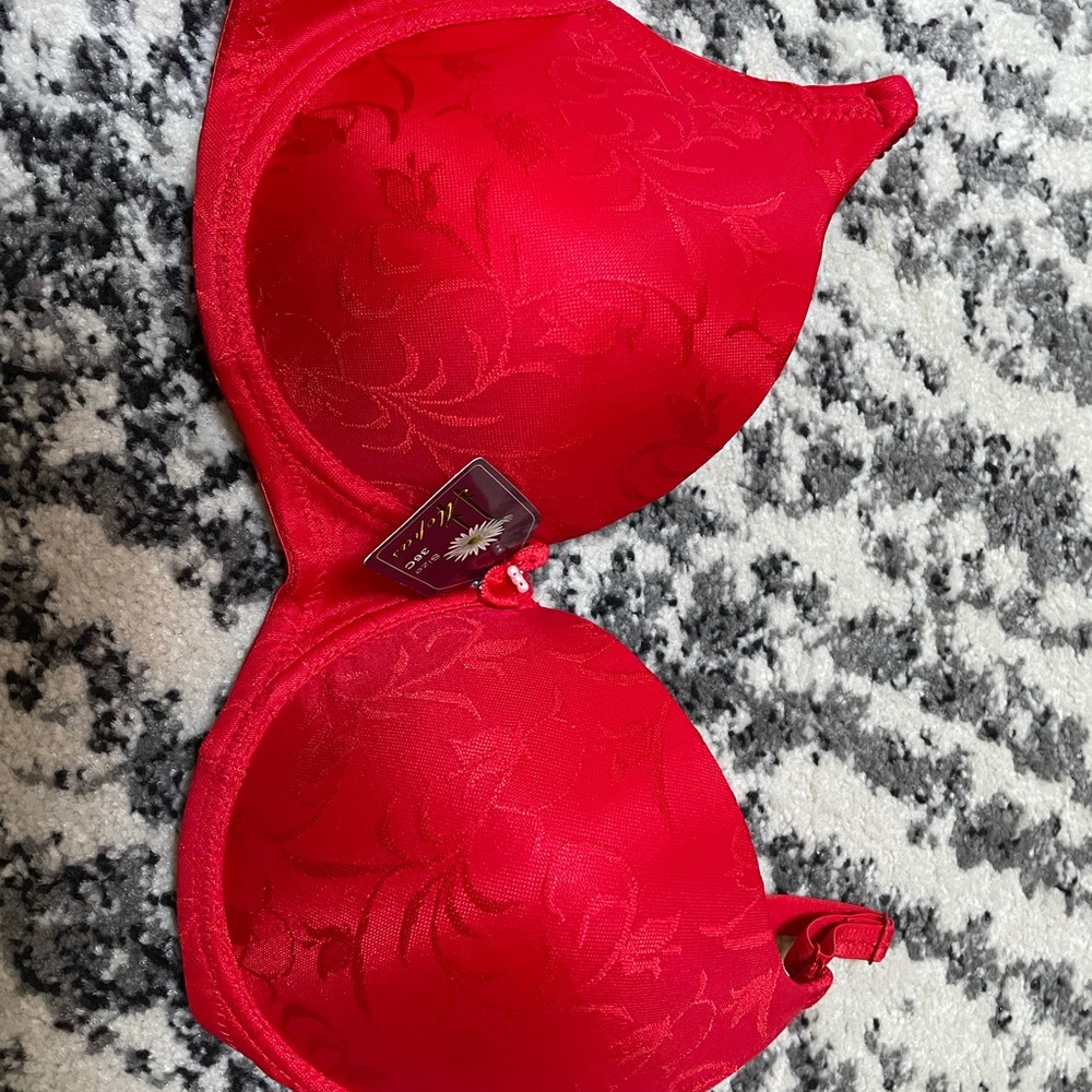 Embroidery design Bra
